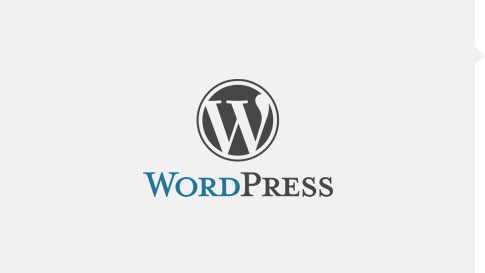 WORDPRESS HOSTİNG